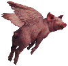 flying pig
