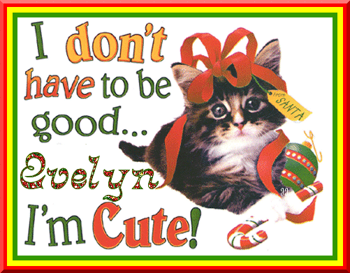 Evelyn ~ I Don't Have To Be Good I'm Cute!