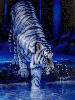 blue tiger lake