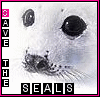 Save The Seals!