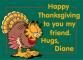 Garfield Thanksgiving - Diane