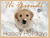 Hi Friend~Holiday Puppy