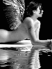 naked angel