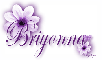 Purple Flower - Briyonna