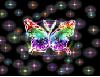 rainbow sparkle butterfly