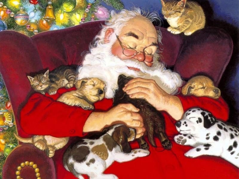 Santa