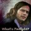 What's Twilight?