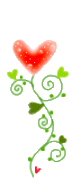 florcor