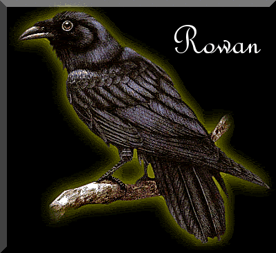 Rowan Raven
