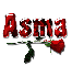 Asma red rose