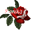 Butterfly Red Rose - Kanika