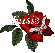 Butterfly Red Rose - Susie