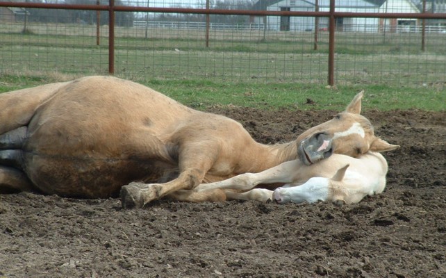 mony and her baby