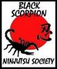 Ninpo Society Logo