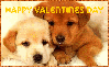 happy V Day puppies