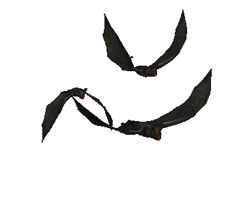 Bats