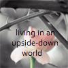 living in an upside-down world