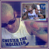 chester the molester