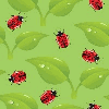 background green bug