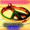 Live as if your dying tomorrow ;; Dream as if you live forever.