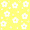 yellow and white flower background