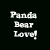 Panda Bear Love
