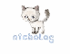 Nicholas' kitty