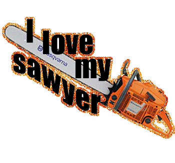 I love my sawyer