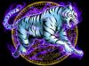 White Tiger with purple lighting