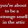 strange smell in the attic