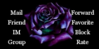 Rose of Purples