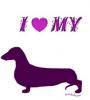 i love my dachshund