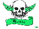 kasie green skull