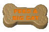 Feed a big cat