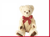 a teddybear