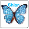 Shian Butterfly Icon 