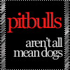 pit bull dog msg
