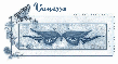 Butterfly Banner, Vanessa