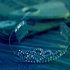 tiara