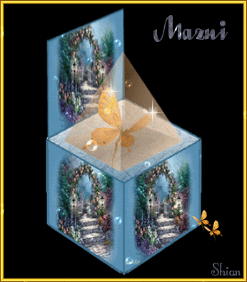 Animated Butterfly Box for Mazni