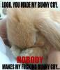 Nobody makes my bunny cry