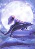 mermaid dolphin moon