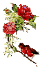 Rose and Birds
