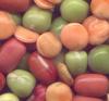 silk candy beans