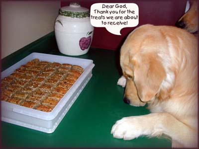 Thanks for the treats
