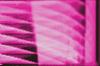 Background Pink Blade Waves