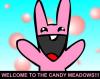 WELCOME TO CANDY MEADOWS