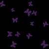 purple buttterflys