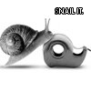 snail it