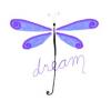 Dragonfly dreamy